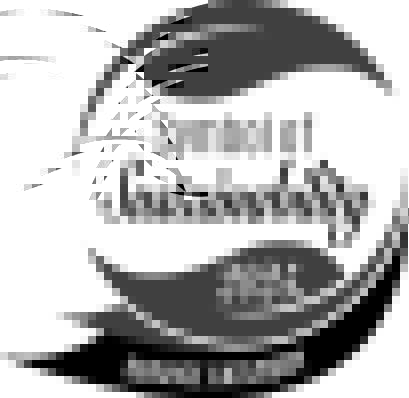 Fenntarthatósági díj 2025 – E.ON Drive Infrastructure Hungary Kft.