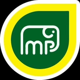 Mobilpetrol logo